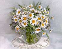 Без бренда «2KMA-0021» в Кургане