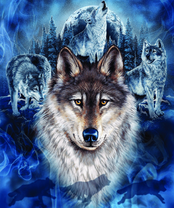 Без бренда «2KXSB-0687» в Кургане