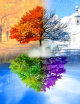 Без бренда «BOX10-2KLB-6100» в Кургане