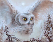 Без бренда «Полярная сова над лесом (20шт)» в Кургане