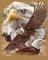 Без бренда «Коробка 20 шт: Орёл крупным планом» в Кургане