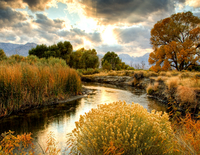 Без бренда «BOX25-GX29355» в Кургане