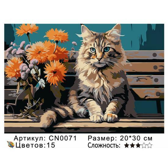 Картина по номерам 20x30 CN0071