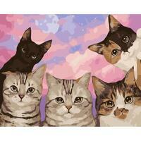 Без бренда «Такие разные котики» в Кургане