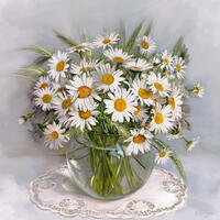 Без бренда «Букет свежих ромашек» в Кургане