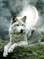 Без бренда «Коробка 25 шт. картин по номерам BOX25-GX21058» в Кургане