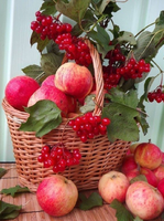 Без бренда «Коробка 25 шт. картин по номерам BOX25-GX5174» в Кургане