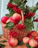 Без бренда «Плетёная корзина с калиной и яблоками» в Кургане в интернет-магазине  Без бренда «Плетёная корзина с калиной и яблоками» в Кургане