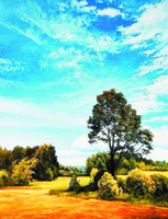 Без бренда «Осенний пейзаж с голубым небом» в Кургане