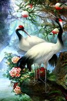 Без бренда «Коробка 25 шт. картин по номерам BOX25-GX29399» в Кургане