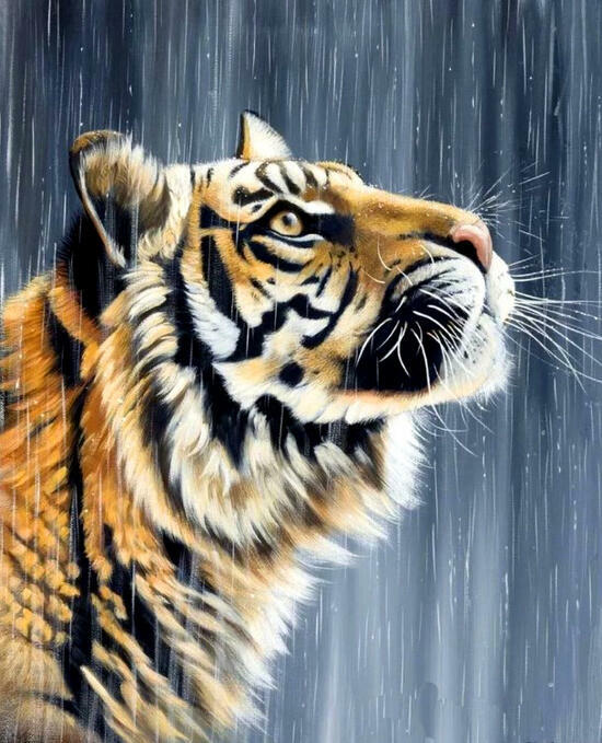 Картина по номерам 40x50 Большой амурский тигр под дождем