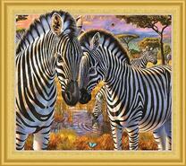 Зебры у водопоя в Африке