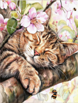 Без бренда «Волосатый котик спит на ветви яблони» в Кургане в интернет-магазине  Без бренда «Волосатый котик спит на ветви яблони» в Кургане